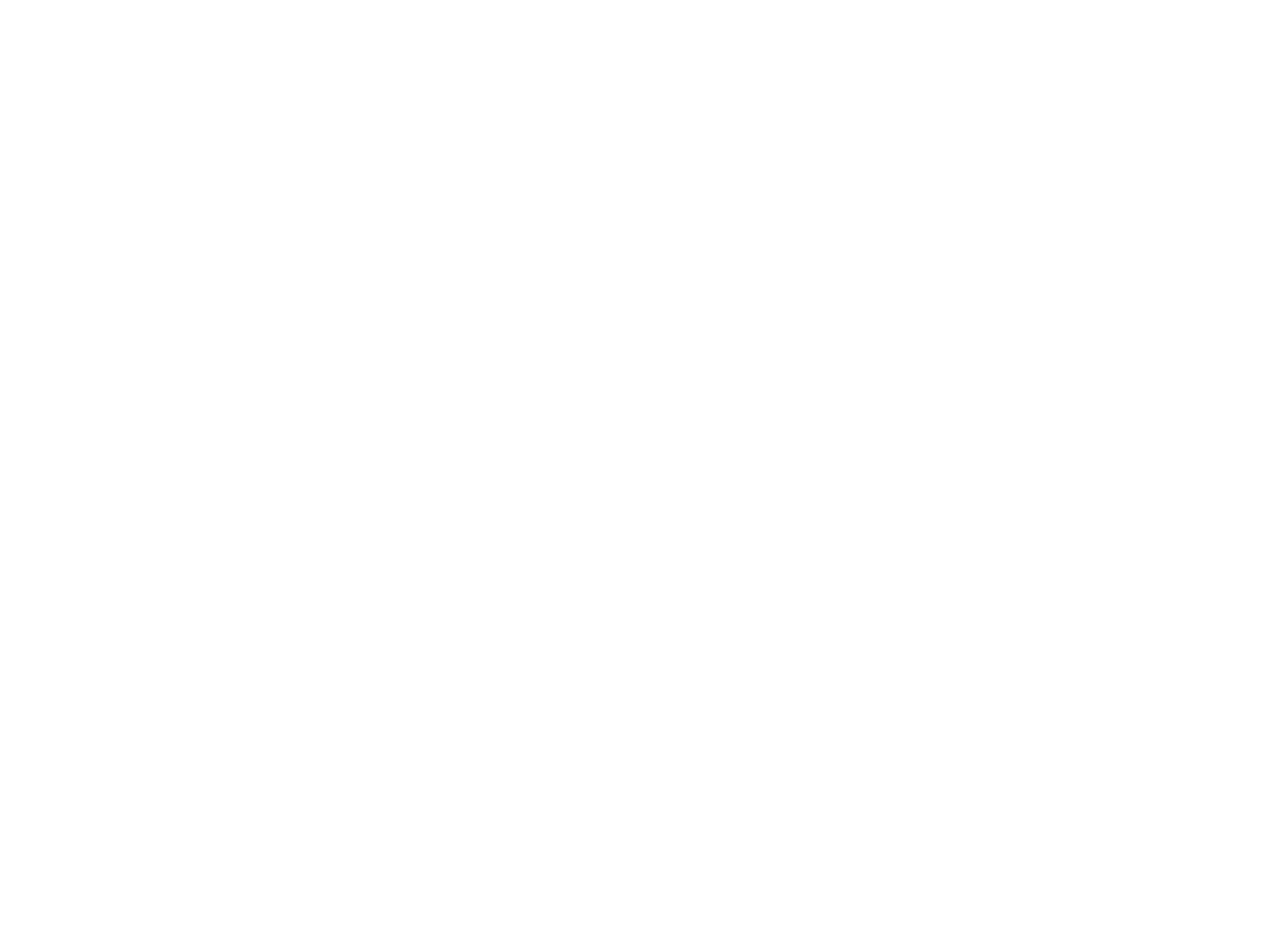 4iG logo_white