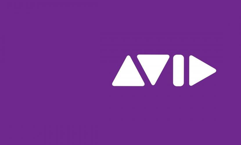 Avid_purple